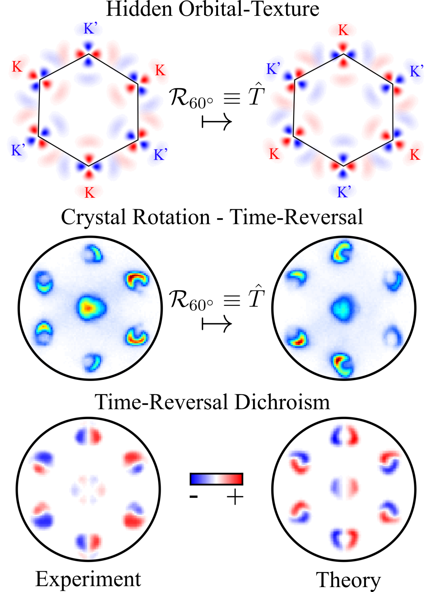 structural-electronic-surface-dynamics-research-group-ralph